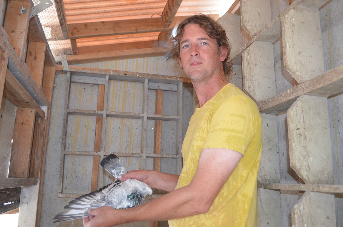 Myakka City's Charles Cole, 39, holds one of his racing pigeons at home in the pigeon loft.