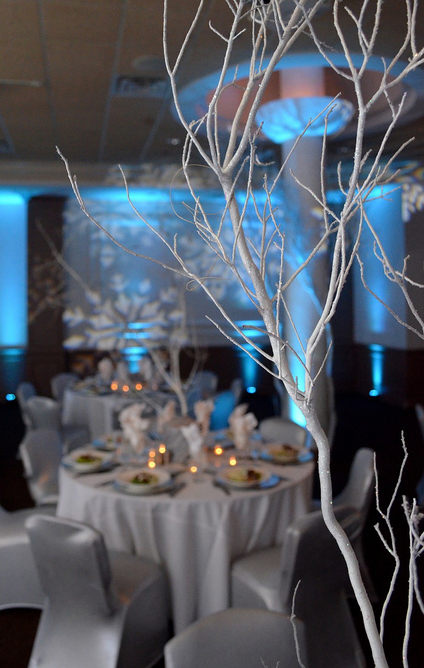 The ballroom was decorated in a sea of seemingly snow-brushed trees.