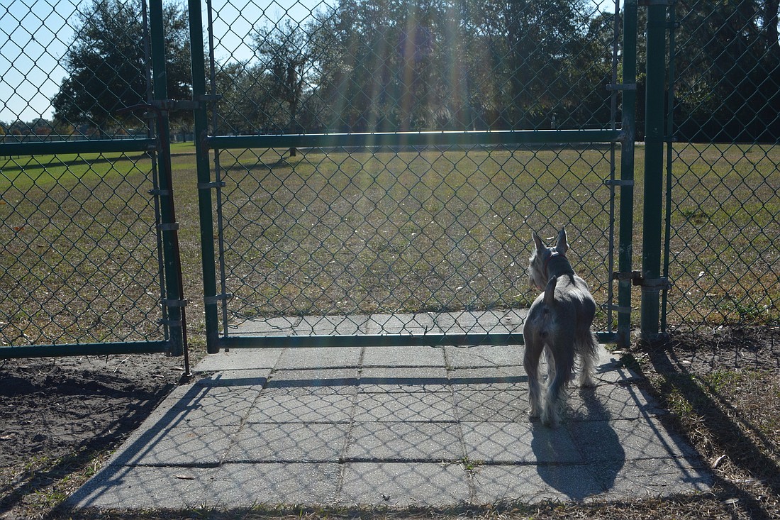 Schotzie the Schnauzer wants entry into the Paw Park.