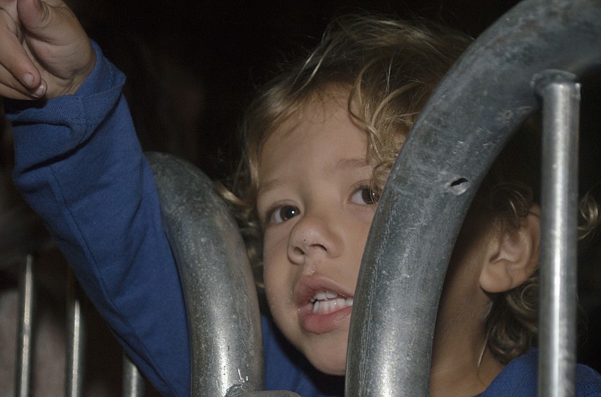 Mason Green points at the parade floats.