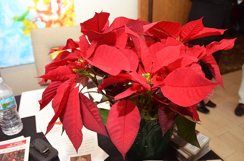 The decorations matched the name of the event perfectly.