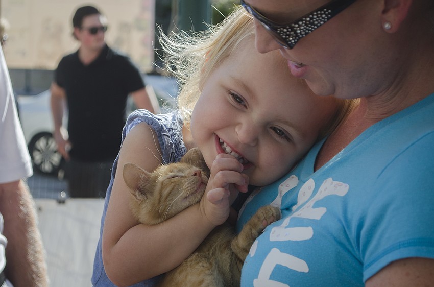 Aubree Wilson hugs a cat from T.N.R. Cats.