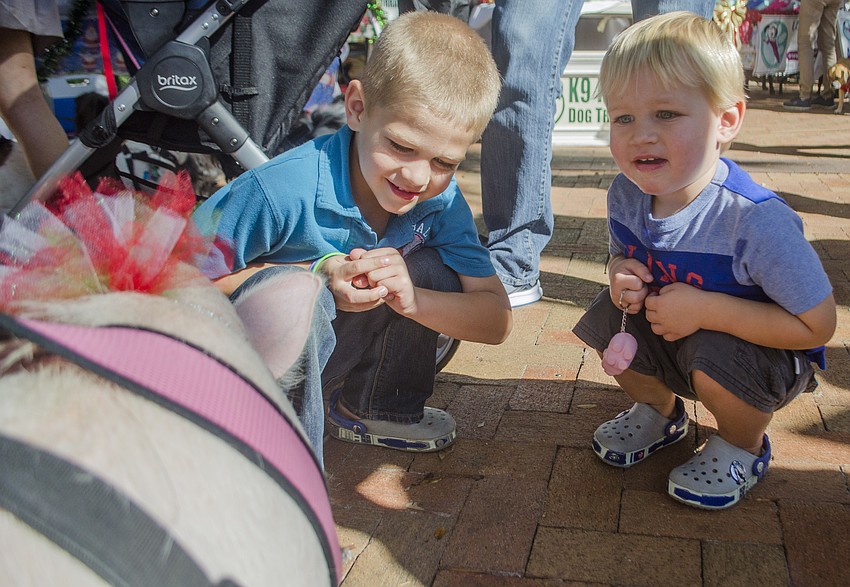 Hayden and Henry D’Hondt