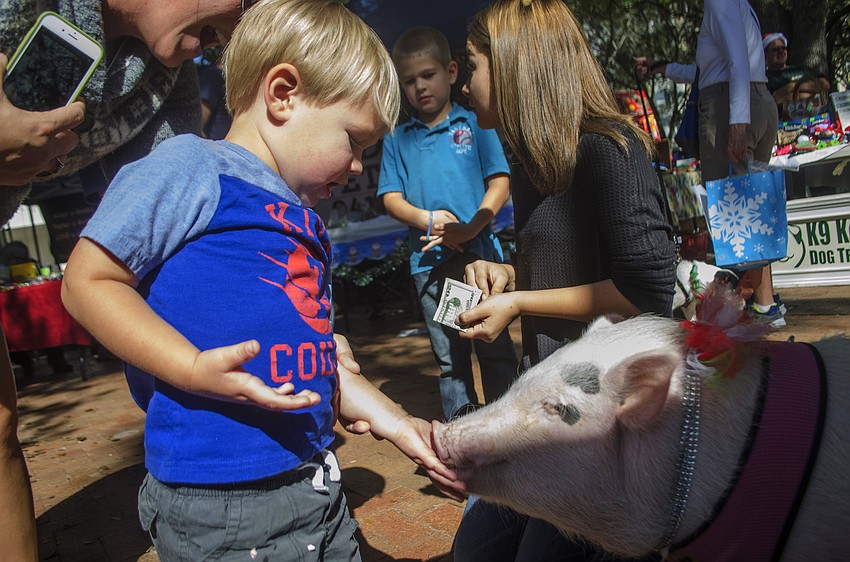 Henry D’Hondt feeds a pig from Dr. Kate’s animal clinic.