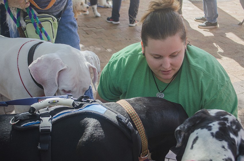 Kristina Bridgeman pets Squirrel, King and Bubbe at the Jingle Paws Jamboree in Five Points Park.