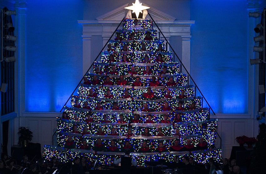 The singing tree had over 20,000 lights woven into its frame.