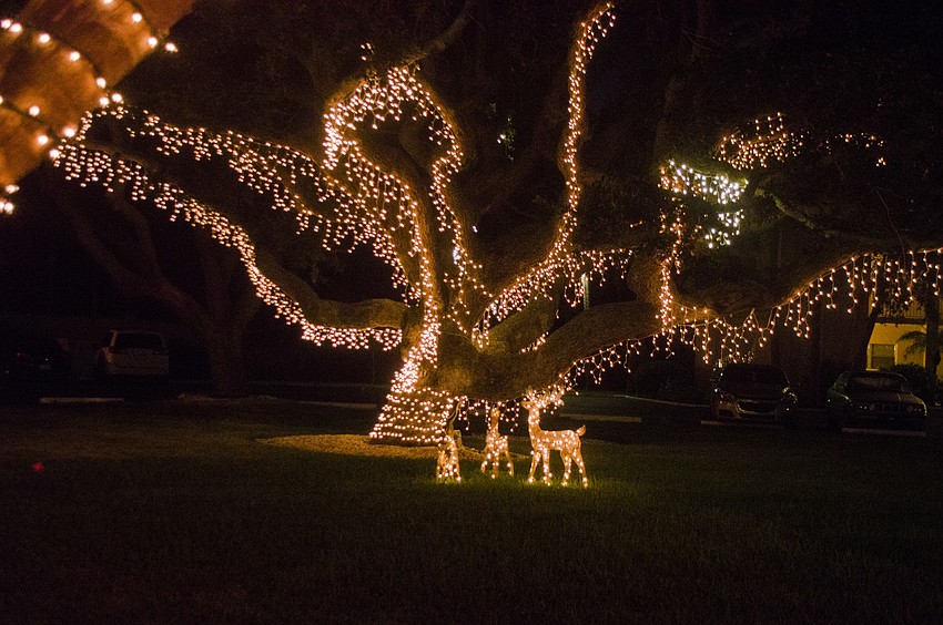 Bay Tree Club’s display stood out because it was created by residents. Typically condo staff is responsible for the decorations.