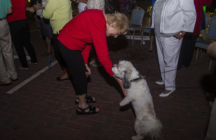The welcome committee at Excelsior Beach to Bay even featured residents pets.