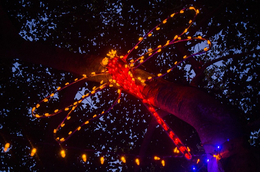 Oversized dragonflies were hung from trees.