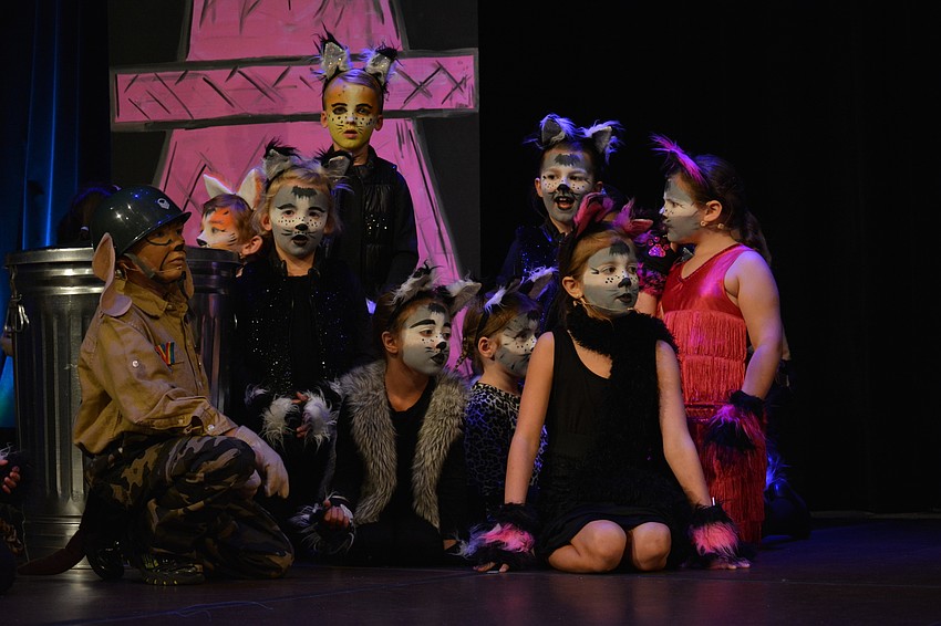 A group of alley cats listen to a song during a performance of 