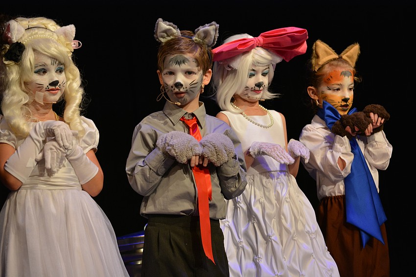 Aristocat kittens looked pretty for their master.