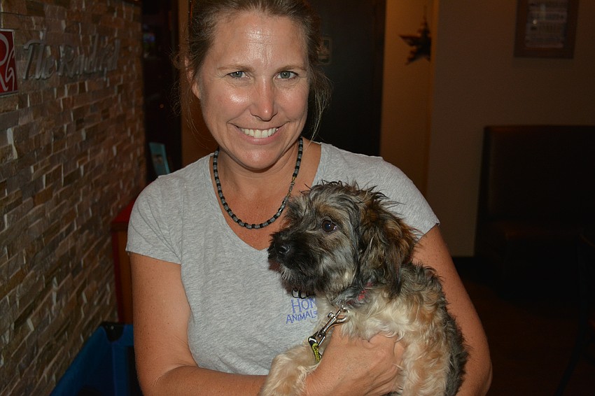 Cheryl Eason, a photographer for Nate's, holds Brownie, a 5-month-old Yorkie Poo who needs a $4,000 surgery to repair his liver.