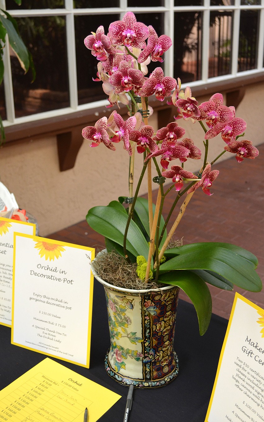 This orchid, donated by The Orchid Lady, was worth $150 and was available for bidding during the auction at the 14th Annual Samaritan Counseling Services of the Gulf Coast Luncheon & Silent Auction on March 9 at Michael’s On East.