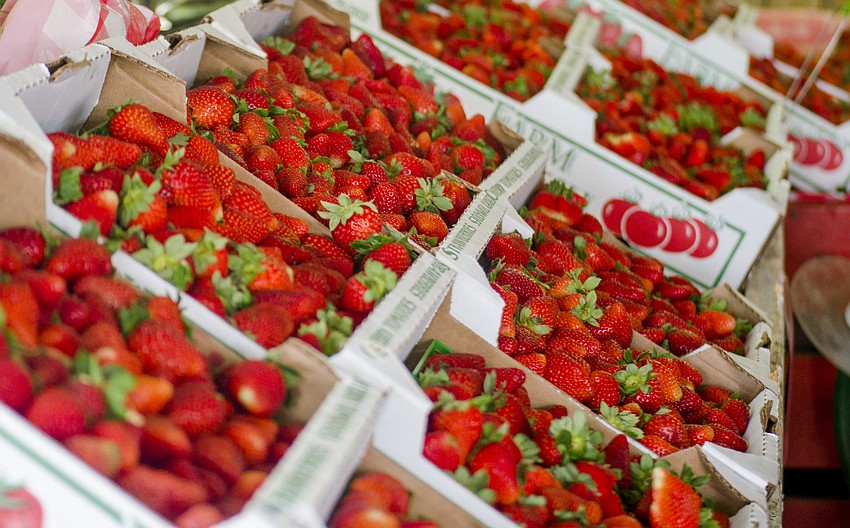 Fruitville Grove put a sweet twist on its traditional pumpkin festival to celebrate its 30th anniversary.