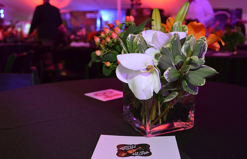 The Orioles hosted Nashville' s Music Row Comes to the Ballpark on March 17 at Ed Smith Stadium.