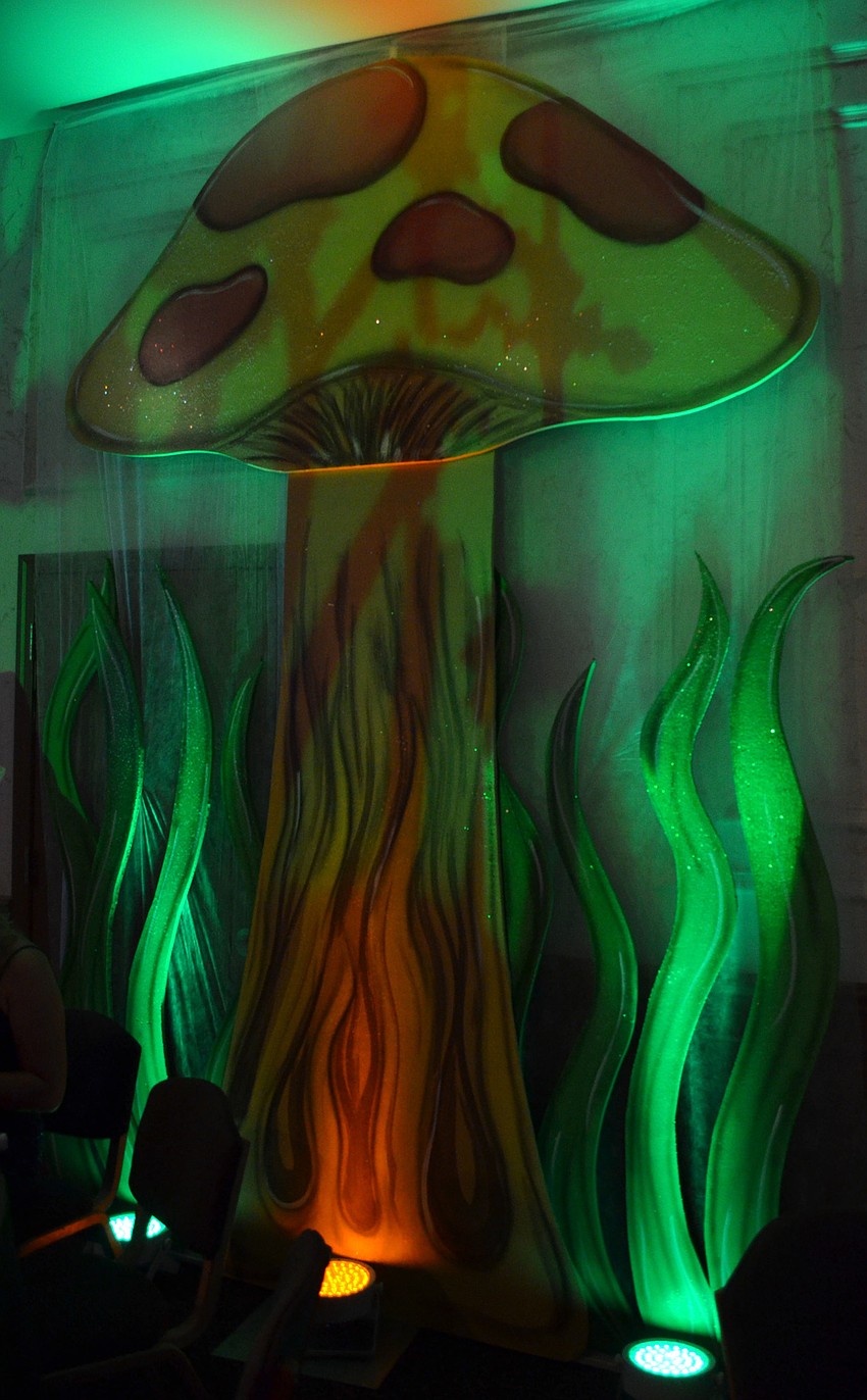 The theme of Fairytale Ball 2017 was “A Sprinkle of Pixie Dust,” and it was held on March 25 at Michael’s On East.