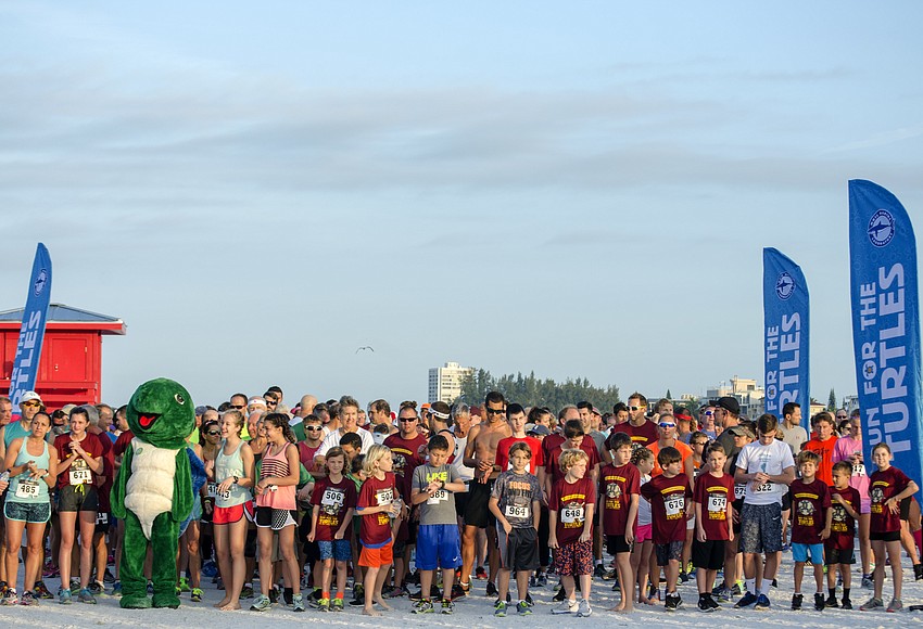 Hundreds come out to Run for the Turtles Your Observer