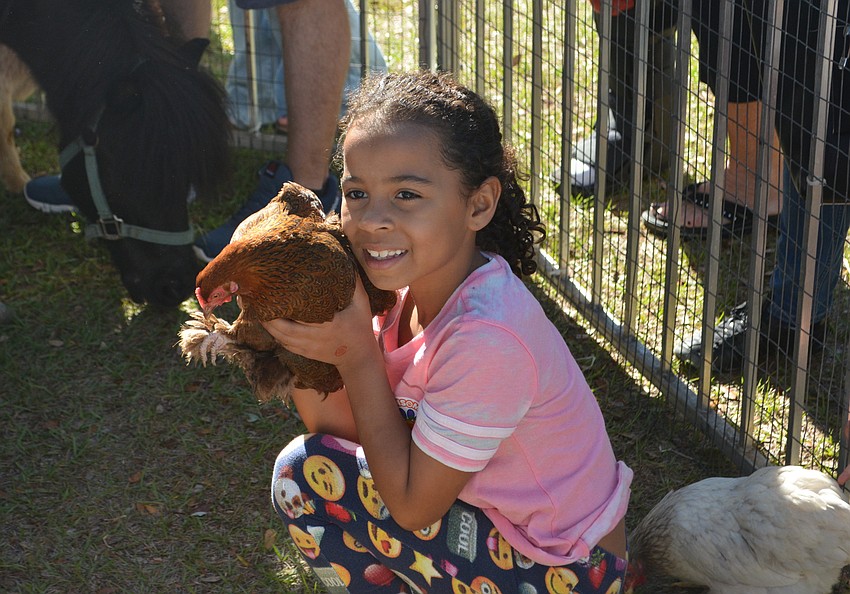 Naomi Cummings, 7, of Lakewood Ranch, meets a rooster in the petting zoo.
