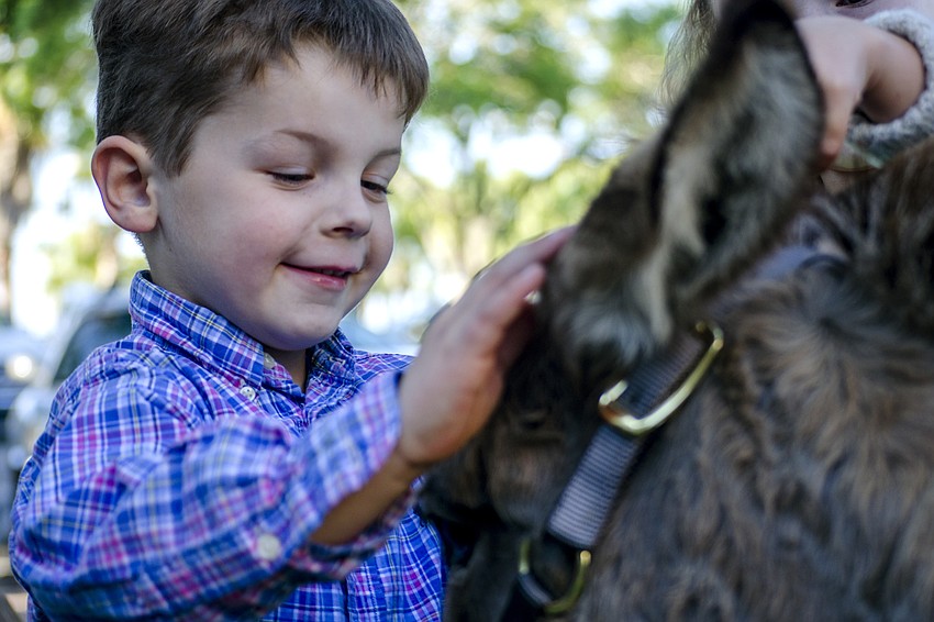 Michael Wood pets Eeyore the donkey before the Palm Sunday processional at Church of the Redeemer.