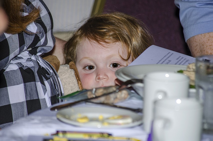 Parker Pollack peers over the Seder table during Temple Sinai' s annual community Seder.