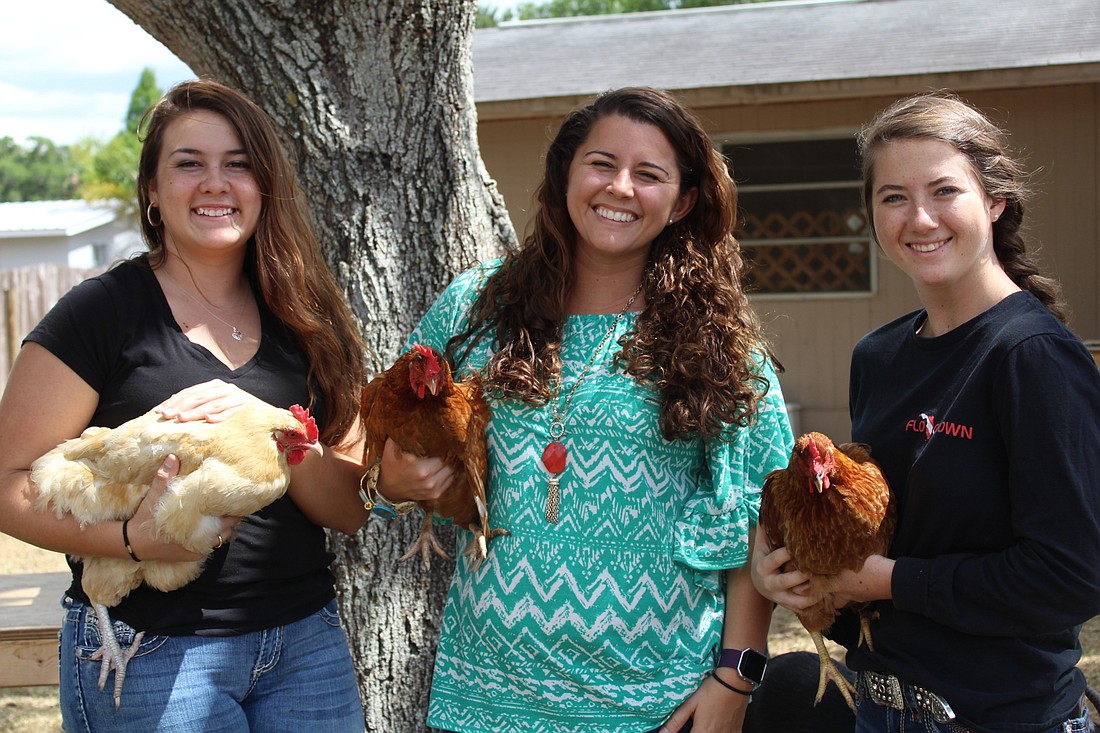 Berkley Mason Lakewood Ranch High junior Isabelle Chamness, FFA adviser Janyel Taylor and junior Alyssa Mckinney snuggle up to their chickens.