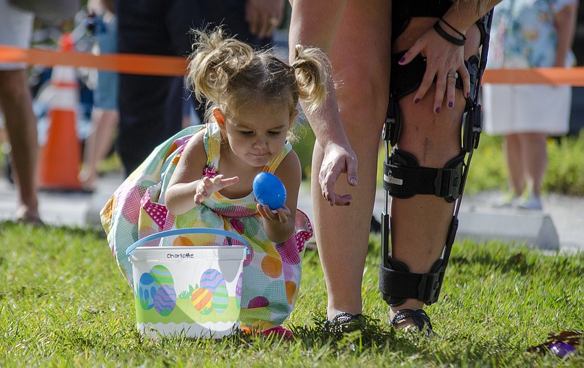 Charlotte Carro collects Easter eggs during the Siesta Key Easter Egg Hunt.