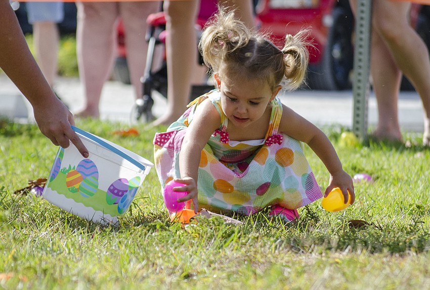 Charlotte Carro collects Easter eggs during the Siesta Key Easter Egg Hunt.