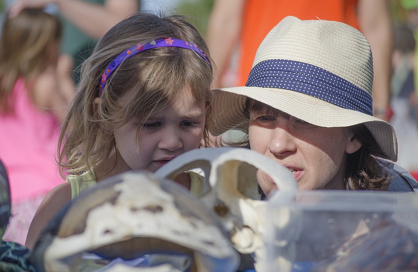 Sara and Amy Scales look at skeletons on display at the Mote Marine Laboratory and Aquarium mobile aquarium at the Siesta Key Easter Egg Hunt.