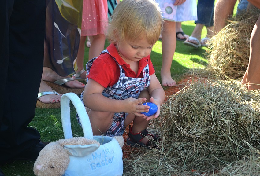Alexander Ade, 1 ½, finds a blue egg in a hay pile during the Longboat Key Club’s Easter egg hunt on April 16.