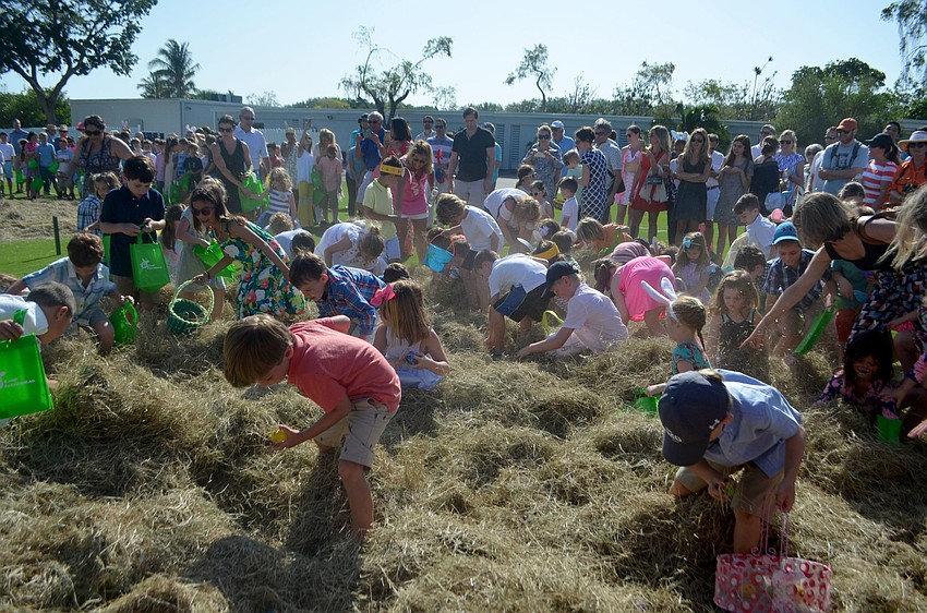 Kids were separated into three age groups for the Longboat Key Club’s egg hunt. Each age group had its own hay pile to search in for colored eggs.