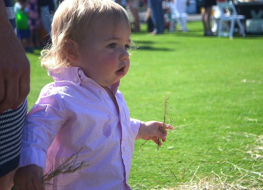 Charlie Keaveney, 15 months, plays with hay while watching the other kids search for Easter eggs.