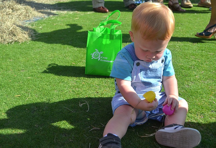 Kai Adamanson, 16 months checks out the eggs he found during the Easter egg hunt at the Longboat Key Club.
