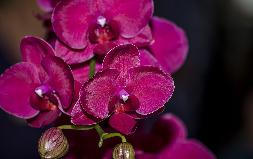 Flowers adorned each of the tables.