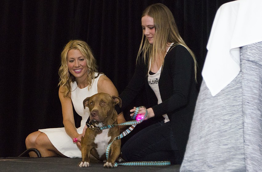 Co-Chairwoman Jennifer Steube helps calm adoptable mix breed Easton after he makes an appearance onstage at Paws on the Catwalk on April 20 at The Ritz-Carlton, Sarasota.