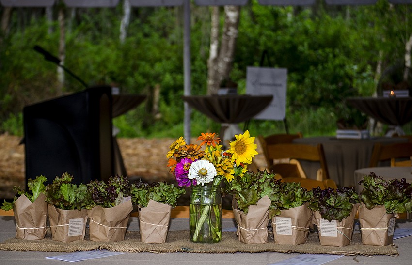 Hershorin Schiff Community Day School students grew the  produce that was used in the table settings.