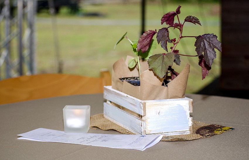 Hershorin Schiff Community Day School students grew the  produce that was used in the table settings.