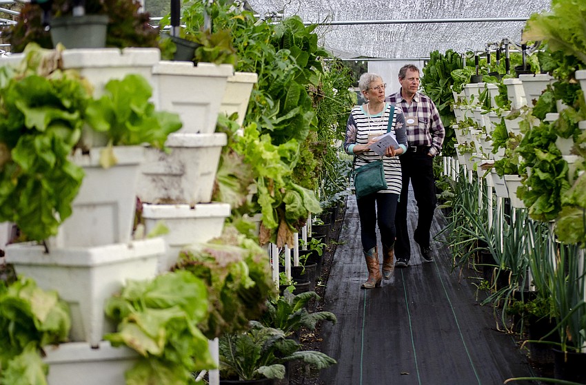 Jack and Lydia Corn wander through Sweetgrass Farms'  hydroponic growing facility.