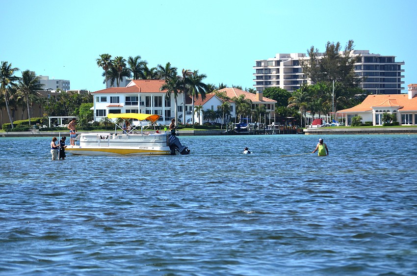 Volunteers were assigned hectagon-shaped spaces of the Sarasota Bay to survey. When they found seagrass, they either filled out forms or used an app to send information back to the county’s Seagrass Monitoring Program.
