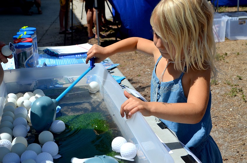Alexis Rosebrock 5, plays an educational game at the Sarasota Dolphin Research Program table.