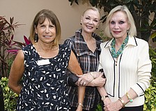 Co-Chairwomen Pat Golemme, Jean Weidner Goldstein and Hillary Steele