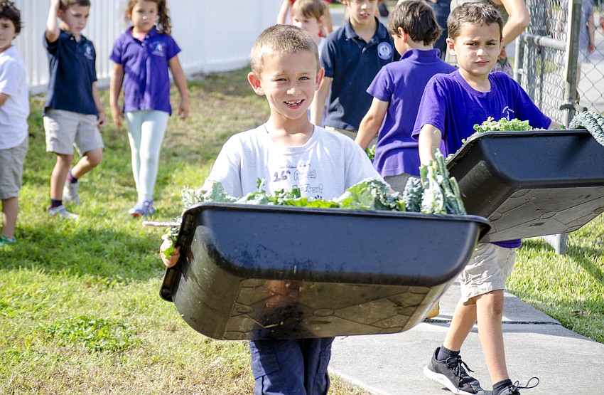 Logan Wilding carries a bucket of kale to the All Faiths Food Bank truck.