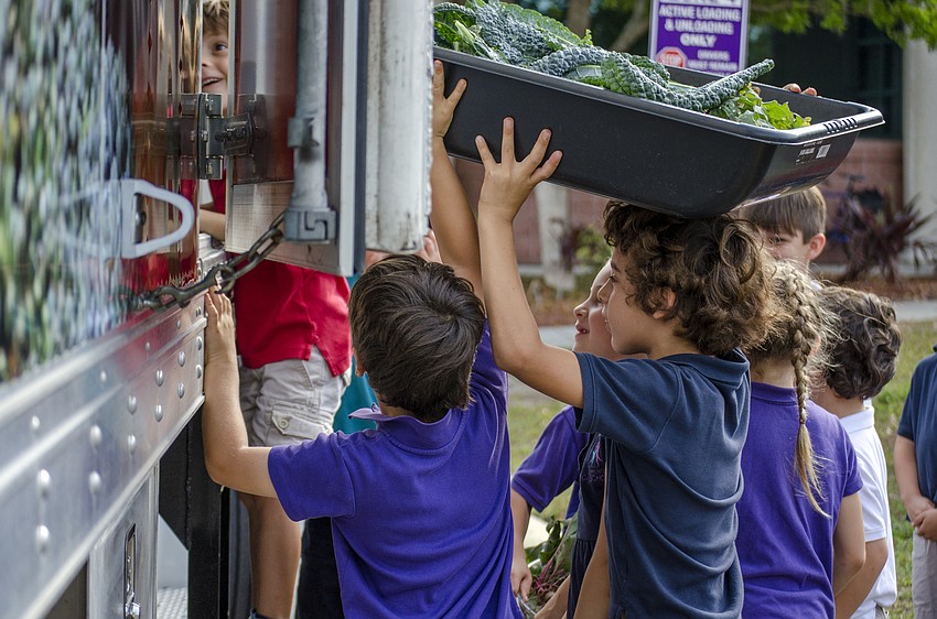 Students load their newly harvested vegetables into the All Faiths Food Bank truck.