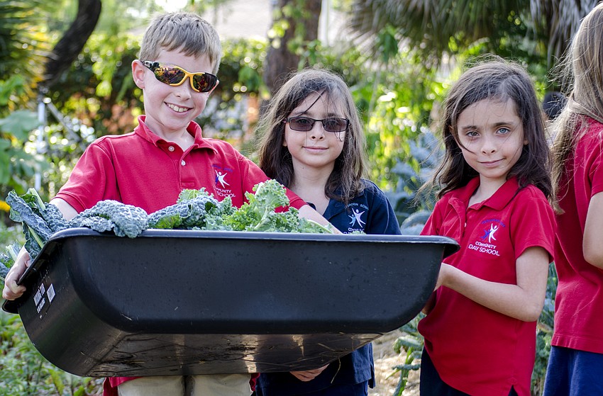 Grayson Miller, Madeline Cohen and Brianna Cohen pose with a bucket of kale in the Hershorin Schiff Community Day School garden.