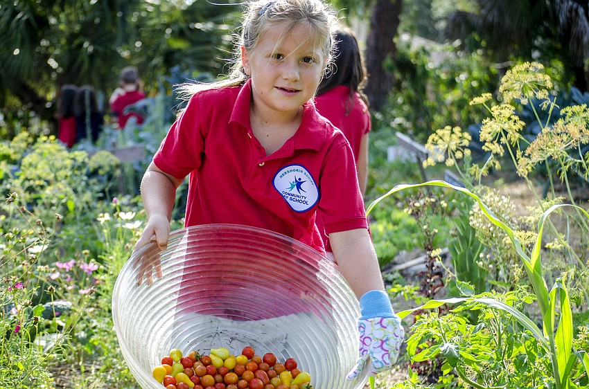 Isabella Gammicchia poses with a bowl of freshly harvested tomatoes.