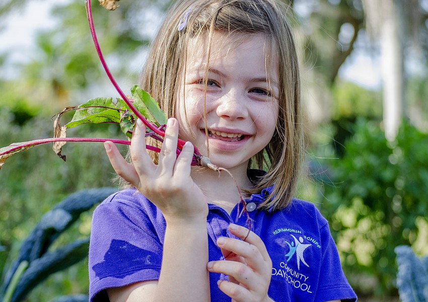 Norah Ceaser poses with a beet she picked from the picks a beet from the  Papa Ed and Mimi Rosenthal Organic Kibbutz Sustainability Garden and Outdoor Classroom.