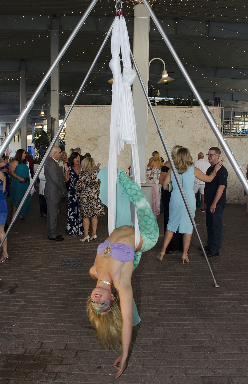 A mermaid aerialist performs for guests at A Fashionable Gala: Shipwrecked on May 5 at Mote Marine Aquarium & Laboratory.