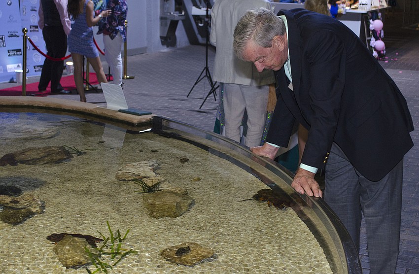 Bob Roskamp makes some friends at the Contact Cove during A Fashionable Gala: Shipwrecked on May 5 at Mote Marine Aquarium & Laboratory.