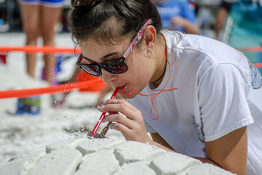 Lillian Loo blows excess sand from her sculpture Tank the Turtle.