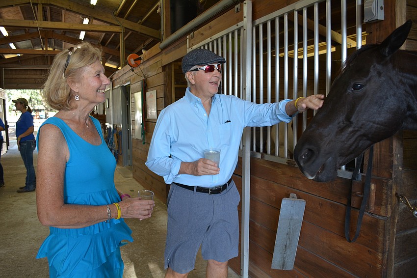 Sue and Bob Spadaccia, of Lakewood Ranch, bonds with therapy horse, Jazz.