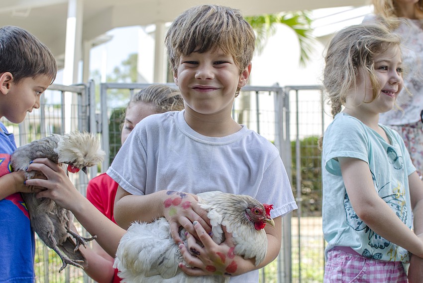 Zaile Fasbinder holds a chicken in the petting zoo at St. Boniface Preschool'    s end of year celebration